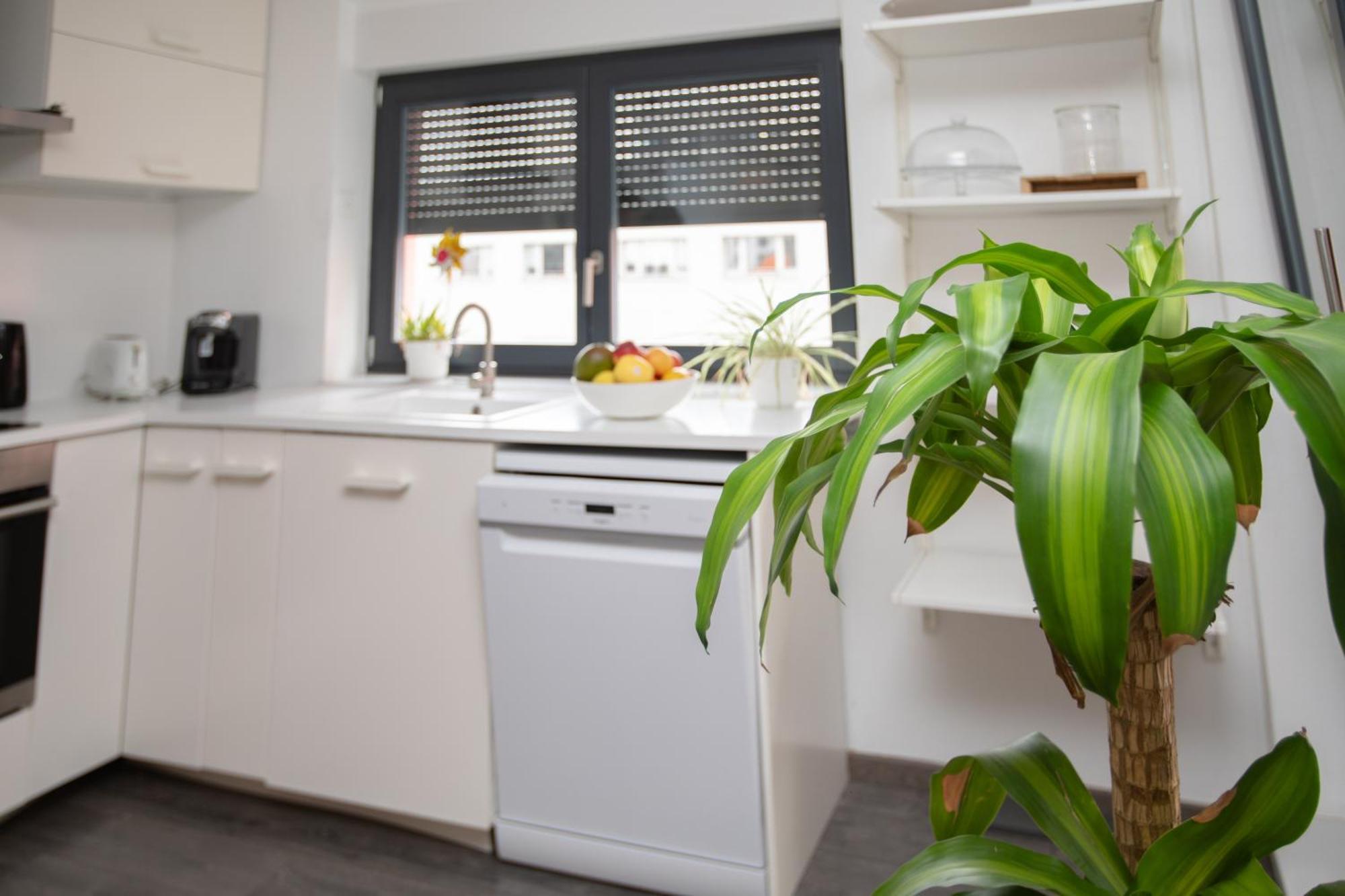 Appartement Moderne Au Centre Ville ستراسبورغ المظهر الخارجي الصورة