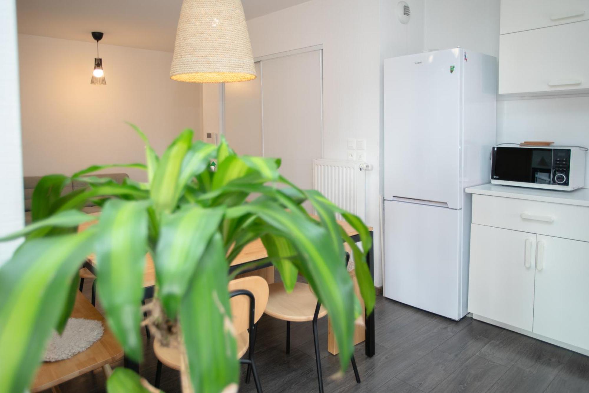 Appartement Moderne Au Centre Ville ستراسبورغ المظهر الخارجي الصورة